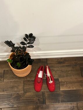 Red Embellished Ballet Flats